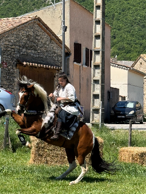 Aela et Skjótfákr