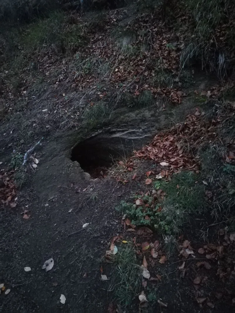 Rotten log hole from vulcano eruption