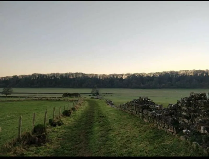 Roman ruins at Caerwent