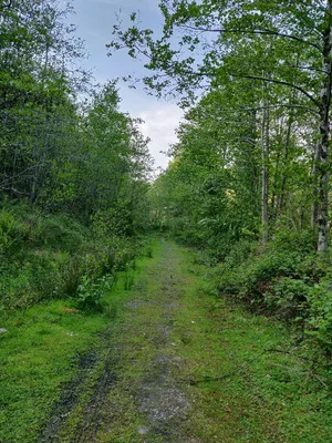 Cwm mountains — photo 3