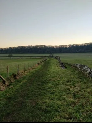 Roman ruins at Caerwent — photo 4