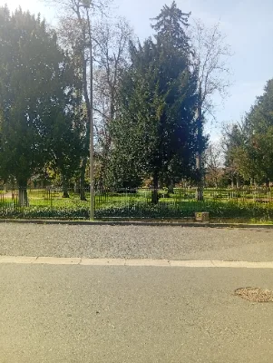 Parc de l'orangerie — photo 2