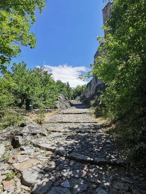 Sion — photo 4