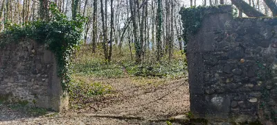 Château d'Eybens et son arboretum — photo 3