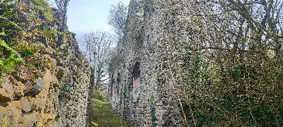 Château du Roy — photo 5