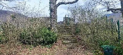 Château du Roy — photo 4