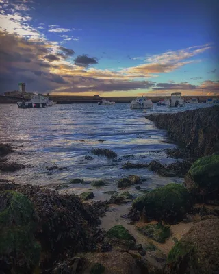 La pointe de Trévignon — photo 4