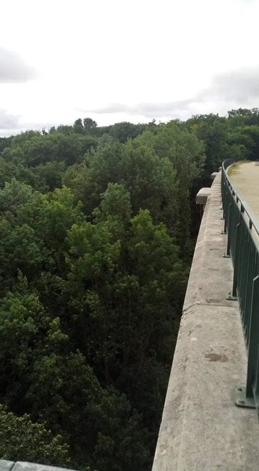 Viaduc des Fauvettes