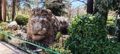 Le lion d'Ifran — photo 3