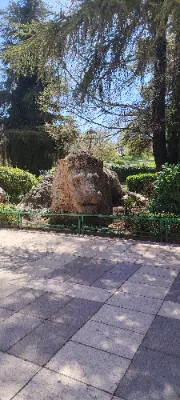 Le lion d'Ifran — photo 2