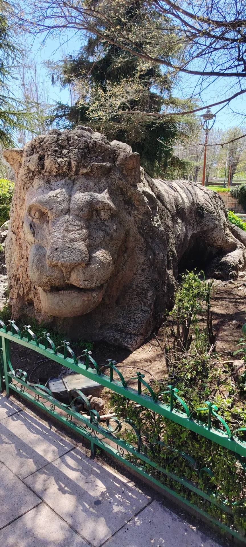 Le lion d'Ifran