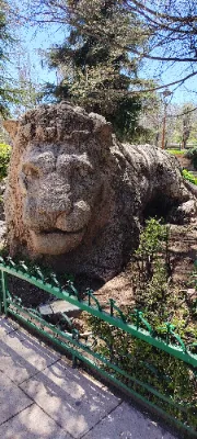 Le lion d'Ifran — photo 1