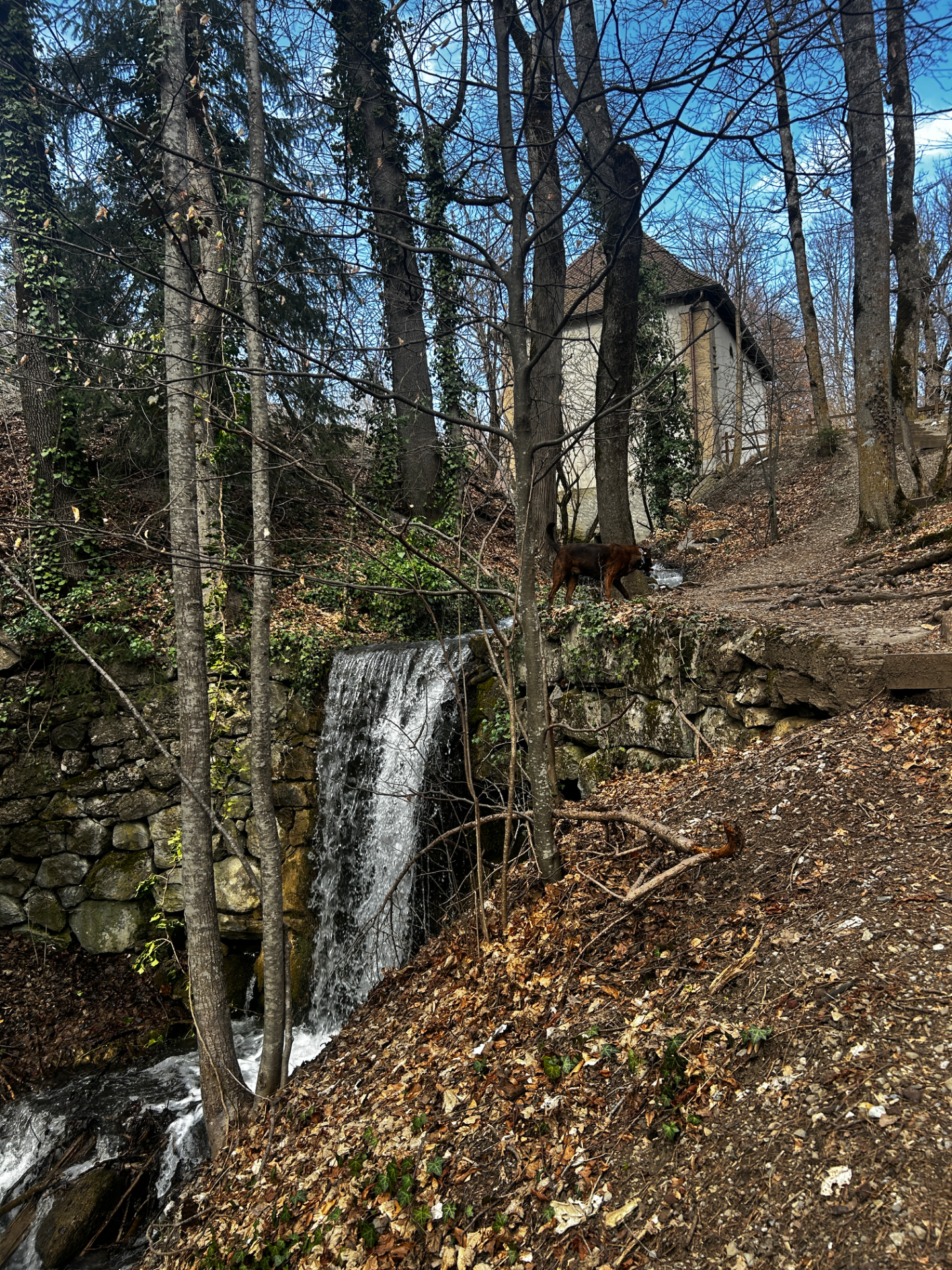 Domaine de Charance