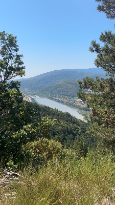 Rocher de la Baume — photo 6