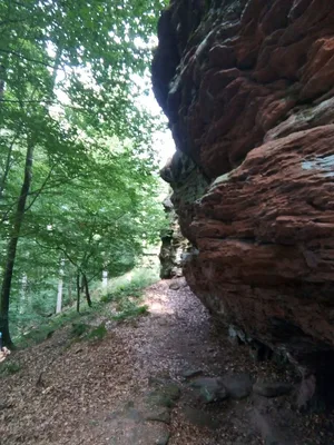 Château du Wasigenstein — photo 2