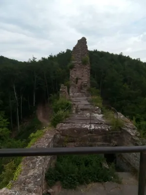 Château du Wasigenstein — photo 4