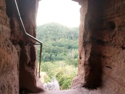Château du Wasigenstein — photo 11