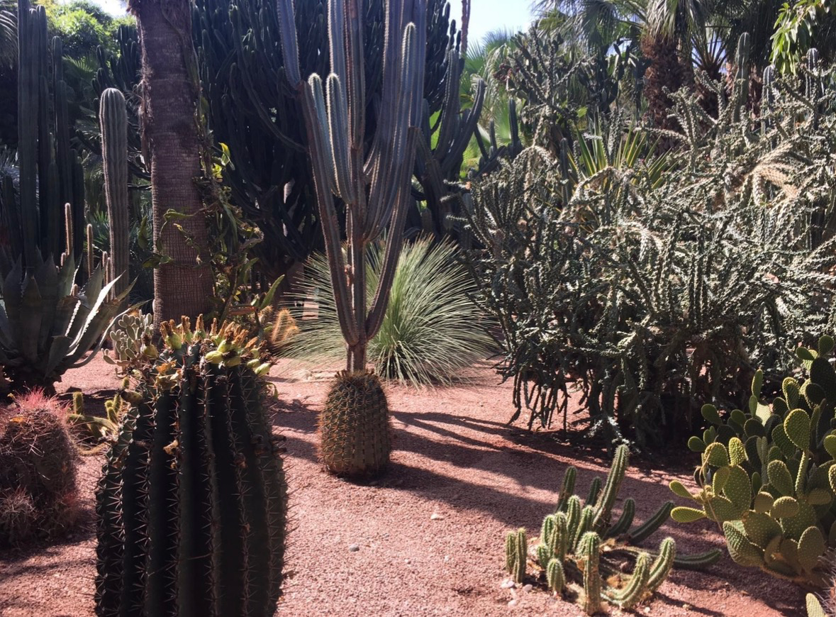 Jardin Majorelle
