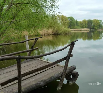 Opfermoor niederdorla 99974 germany
