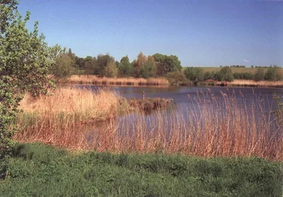 Opfermoor niederdorla 99974 germany — photo 7