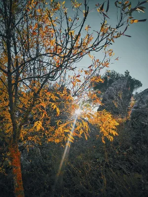 climb of little mountain — photo 3