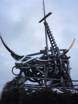 Gilded calf — photo 2