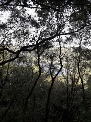Wyming brook nature reserve — photo 1