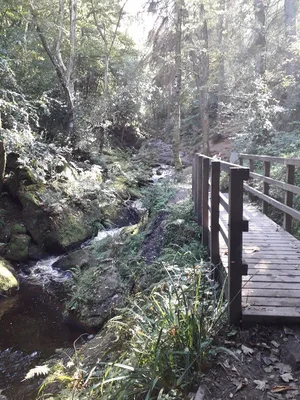 Wyming brook nature reserve — photo 2