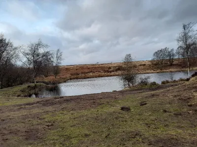 Barbrook lake beauty spot — photo 2
