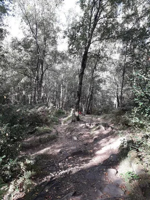 Wyming brook nature reserve — photo 5