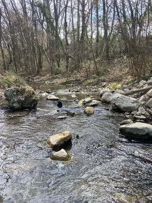 Source du Mirail — photo 3