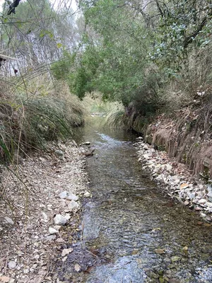 Source du Mirail — photo 4