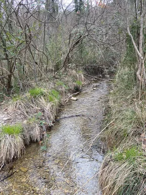Source du Mirail — photo 5