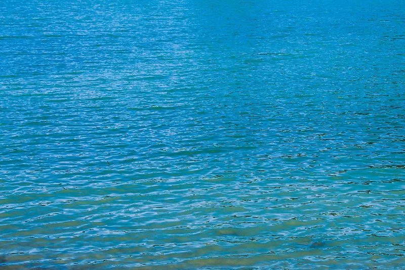 Lake Selva
