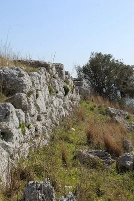 Mesolithic Walls