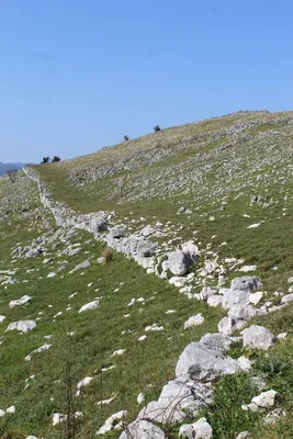 Mesolithic Walls — photo 2