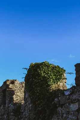 Borgo Medievale di Vairano Patenora — photo 9