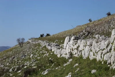 Mesolithic Walls — photo 3