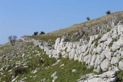 Mesolithic Walls — photo 6