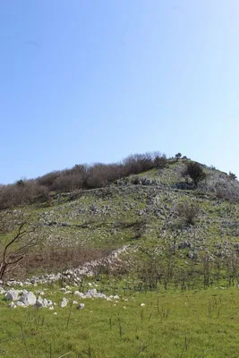 Mesolithic Walls — photo 9