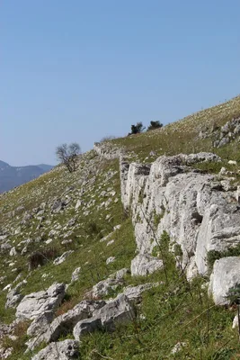 Mesolithic Walls — photo 10