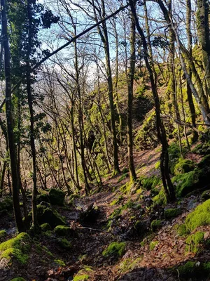Carrefour de la Mûre — photo 2