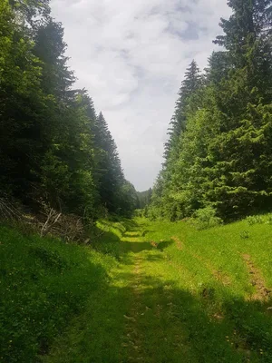 Lac de Lamoura — photo 4