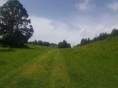 Lac de Lamoura — photo 6
