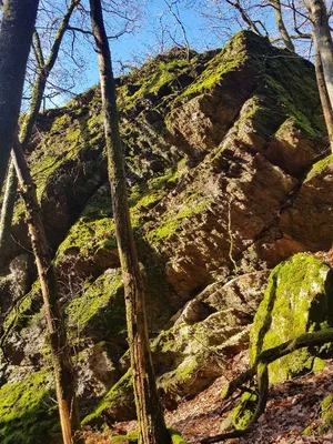 Carrefour de la Mûre — photo 7