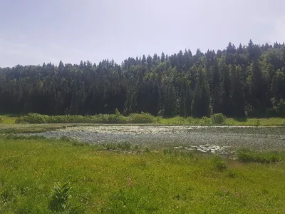 Lac de Lamoura — photo 7