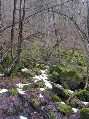 Carrefour de la Mûre — photo 9