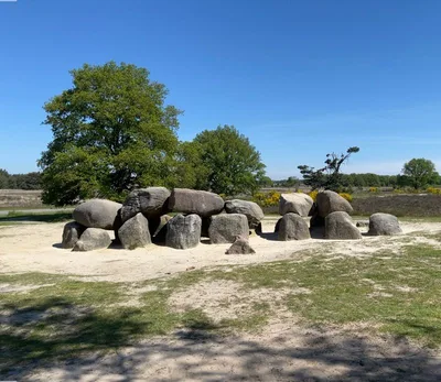 Hunebed D53 (Dolmen D53)