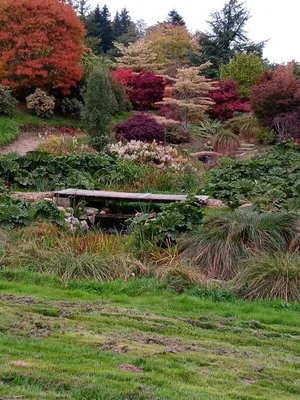 Parc botanique de Haute-Bretagne