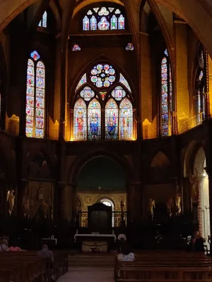 Cathédrale St Étienne — photo 5